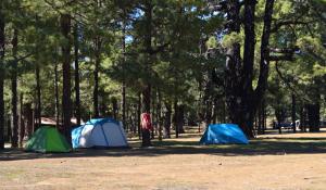 Zelte auf dem Camping- und Picknick Platz Hoya del Morcillo auf El Hierro
